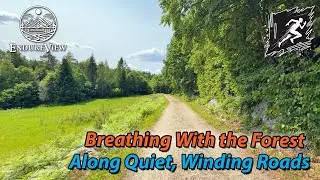 Virtual Running | The Forest Carries You – Gravel, Bridge, and Breath