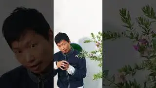 KOHEI NAKATSU BIONIC DANCE INTERVIEW #koheinakatsu #interview #bionicfestival #artist #plants #short