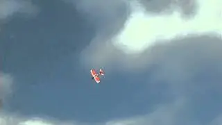 Dog And Foamie Show Featuring the HawkFighter 6 with Crashproofing