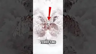 Top 5 Terrifying Signs Jesus Might Be Returning Soon