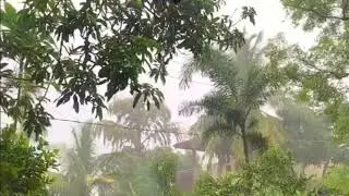 Real life rain and thunder sounds - SRI LANKA
