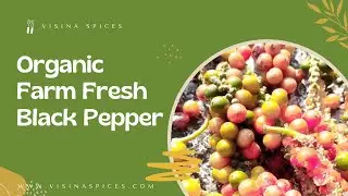 Buy Black pepper online from No.1 online spices store of Kerala.