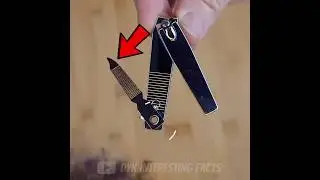 The Different Works Of Nail Cutter |Facts|#shorts