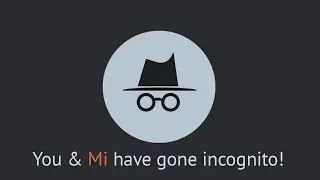 Xioami Mi browser incognito mode privacy issues! Is Mi Browser collecting data in incognito mode?