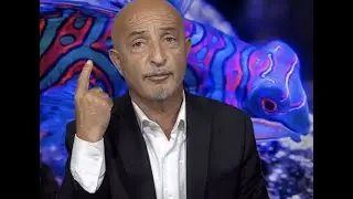 836-shafie ayar از هفت سال بدینسو من تسلیمی افغانستان به طالبان را هشدار داده بودم