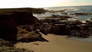 Fort Bragg Tidepooling