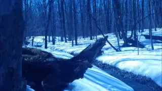 Sounds of Spring - Terra Cotta (urban nature park)