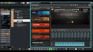 Strings Ensemble Comparison (Mid-Low)