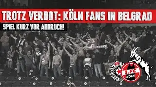 Trotz UEFA-Verbot: 250 K&ouml;ln Fans in Belgrad & Partie kurz vor Spielabbruch!