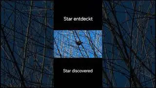 Star discovered / Star entdeckt