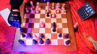 Soothing Chess Analysis ♔ ASMR