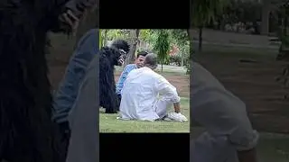 Scary prank on gorilla funny video 😅😂😂 #gorillaprank #funny #funnyprank #viral #comedy