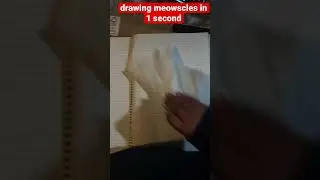 drawing meowscles in just abit