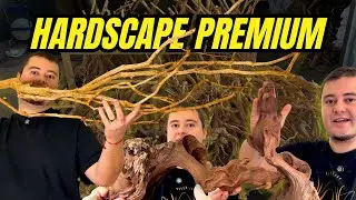 🔴 ELEGIMOS EL HARDSCAPE PERFECTO PARA TUS ACUARIOS: Charla Técnica en Riverest y Selección Firemouth