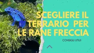 RANE FRECCIA!! Consigli utili per la scelta del terrario!