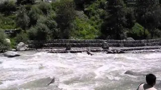 Mighty Beas flowing - Manali 2014