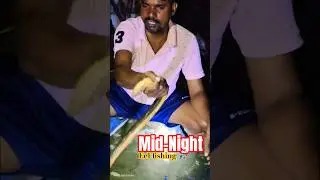 Night Eel Fishing in the Murky Depths