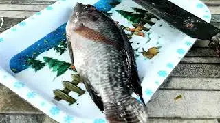 Kesegaran dan Kemunduran Mutu Ikan || Fisiologi Pascapanen Hasil Perikanan Universitas Sriwijaya
