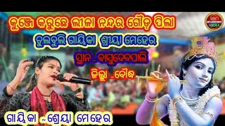 Kunje Karuche Lila Nanda Gouda Pila // Shreeya Meher // Basudevpali // Sunita Sahu // Itishree Kara 
