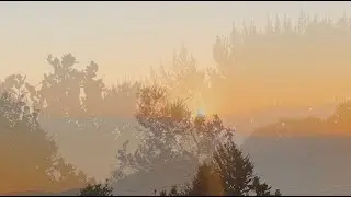 Grace Halak - Everything That Doesn't Exist Yet (Lyric Video)