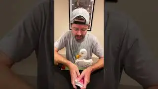 Duck-themed magic trick that will amaze you! #magic #fyp #fok #magician #duck