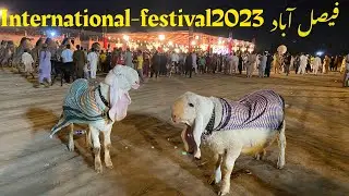 🥇position| Big kajla winner show2023| Faislabad😍|Biggest show in pakistan| #internationalfestivals