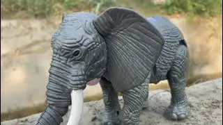 Elephant 🐘🐘🐘🐘🐘 jangal highway road accident and river got