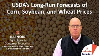 USDA's Long-Run Forecasts of Corn, Soybean, and Wheat Prices