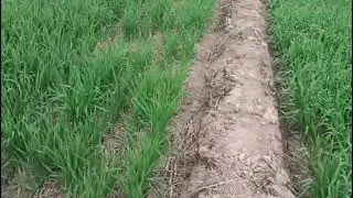 भूअस्त्र सुपर का जबरदस्त रिजल्ट 