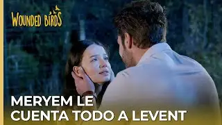 Meryem le cuenta todo a Levent | Wounded Birds (Yaralı Kuşlar) Capítulo 168