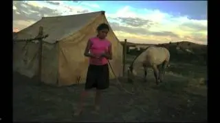Being Human