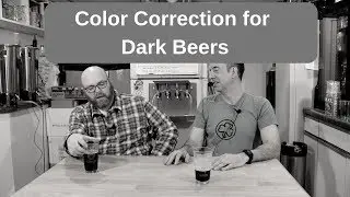 Dry Stout Tasting and How to Color Correct Your Dark Beers