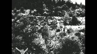 Zenith Maudlin - Veda I