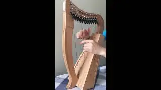 千與千尋 (永遠常在) 12弦豎琴 12 strings lever baby harp, Harp Solo