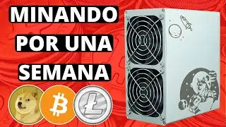 ✅Es Rentable Minar Criptomonedas?😯Goldshell Dogecoin Miner