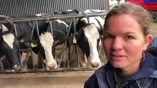 650 dairy farm in Uruguay