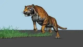 Tiger 3D Animation Maya