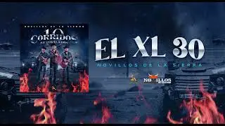 Novillos De La Sierra -  7. El XL30 [Audio Oficial]