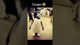 казахи поймут