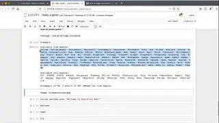 18. What are Magic Commands ? How to use/invoke them in Jupyter Notebook ?