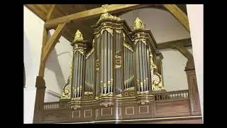 Samenzang Psalm 142 vers 1, 4 en 7 - Samenzang | Hervormde Kerk Brakel