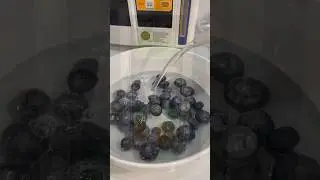 Замочим голубику в щелочной воде #kangen #кангенвода