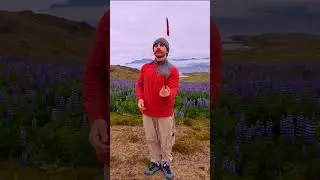 &ldquo;Knife Juggling Meets Fruit-Cutting Art &ndash; Mind-Blowing Skills!&rdquo;