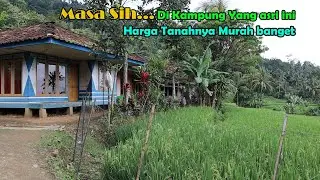 Kampung Di Cianjur Sangat Asri, Warganya Ramah Ramah....