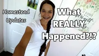 What REALLY Happened?!?/ Homestead Updates