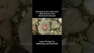 this MV features 300+ ARTISTS (NEW RABBITOLOGY SNEAK PEAK)