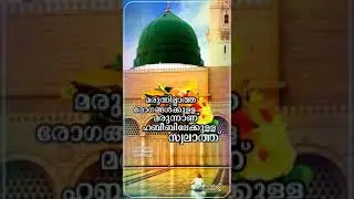 marunn illatha rogaghalkk marunn . Rasool Allah status video🕋💞