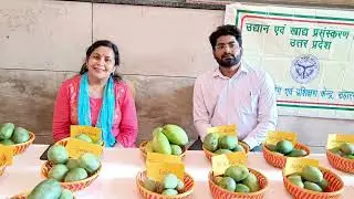 Mango Festival in Delhi Haat Janakpuri 5th to 7th july24
