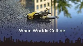 When Worlds Collide 2022