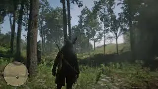 RDR2 Shadow Buck Skin Harriet Missions